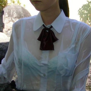 透けてるだけでエロ写真