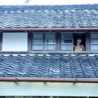 ガラス越しのアリスおっぱい２