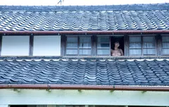 ガラス越しのアリスおっぱい２